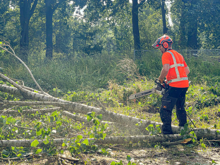 Bomen rooien