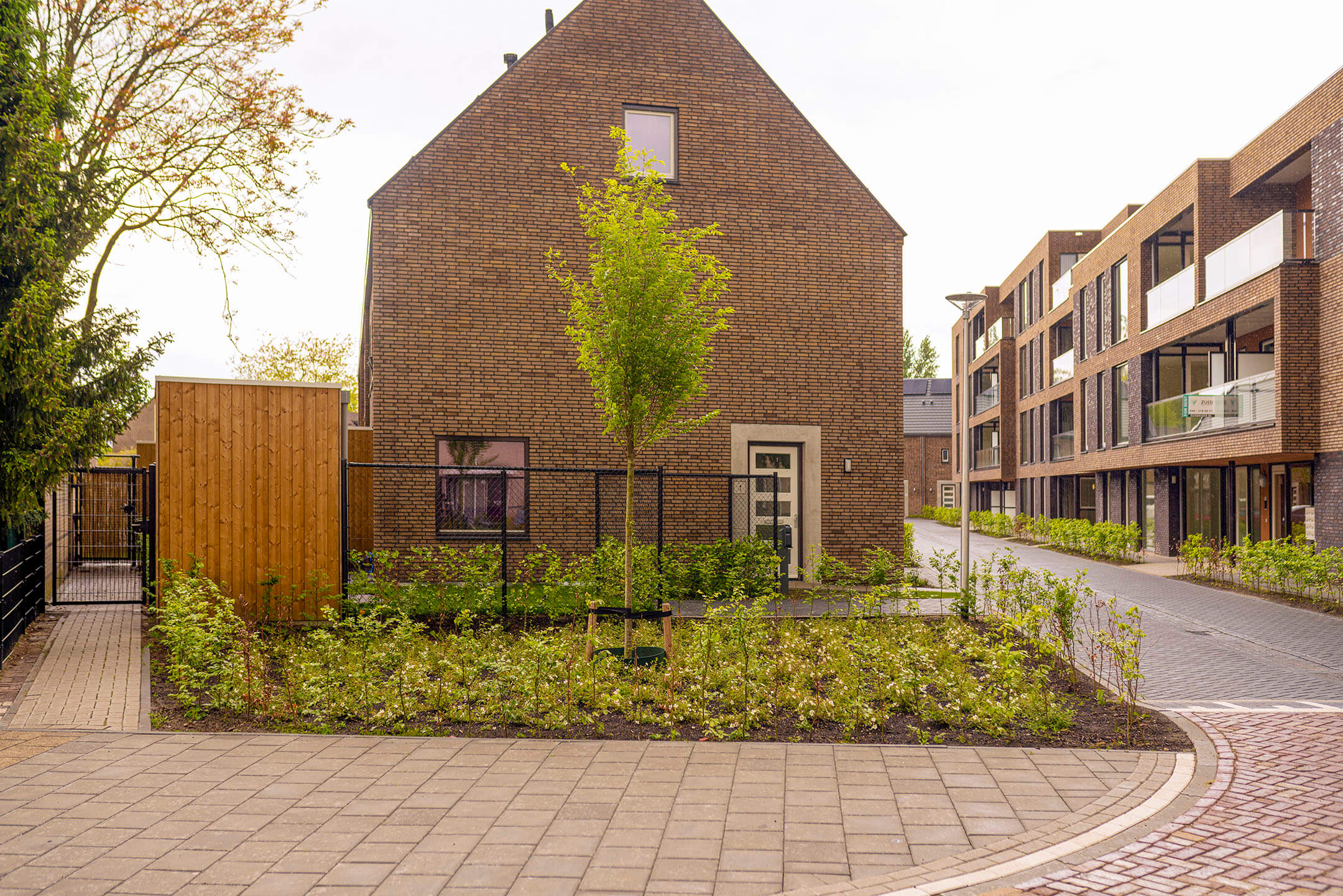 aanplanting wijk Eindhoven