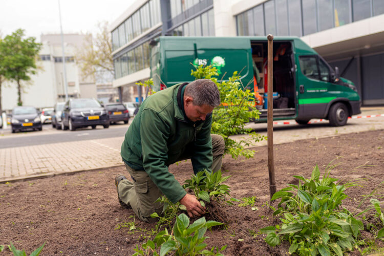 aanplanten perkje