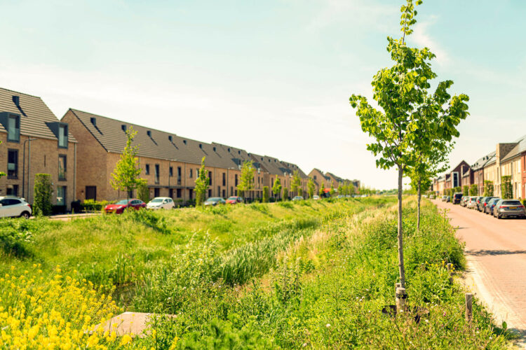 groenstrook nieuwbouwwijk