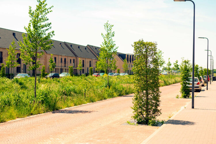 groenaanleg nieuwbouwwijk