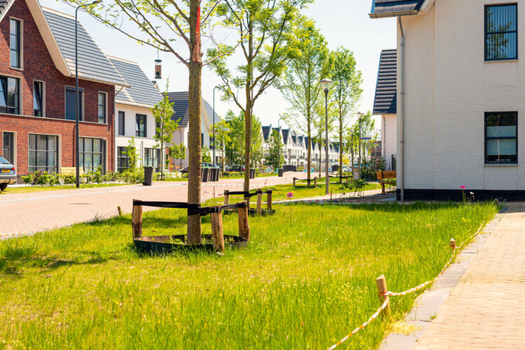 bomen in nieuwbouwwijk de lanen